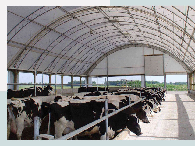 Тентовые коровники в Елабуге